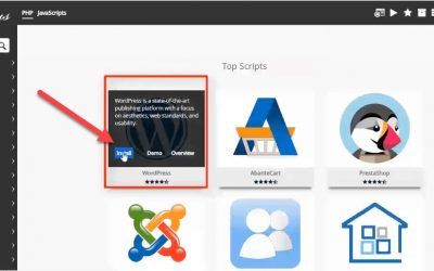 How to Install WordPress on Infinity free Hosting