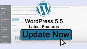 Read more about the article WordPress 5.5 New Features and How to update your website to the latest WordPress version