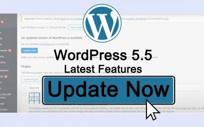 WordPress 5.5 New Features and How to update your website to the latest WordPress version